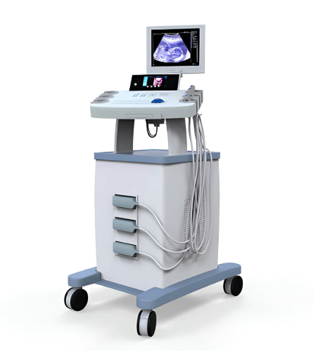 Aspen Acuson Siemens Sequoia